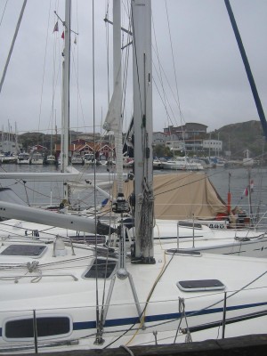 IMG_6696.jpg