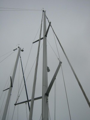 IMG_6702.jpg