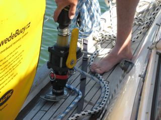 IMG_2207.jpg