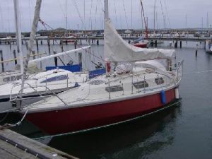 bild Arabesque 31  