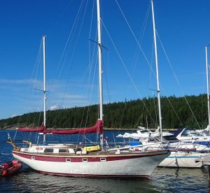 bild Arlin 38 