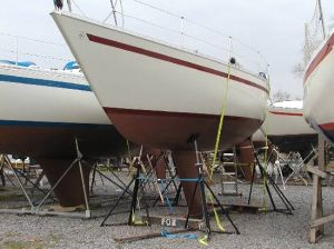bild Atalanta 30  