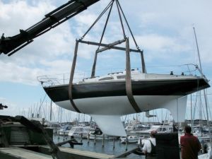bild Bianca Commander 31 