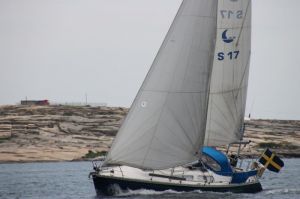 bild Comfortina 35 