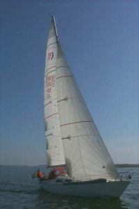 bild Bumerang 32  