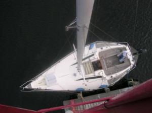 bild Cardell 28  