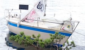 bild Caribean 20 