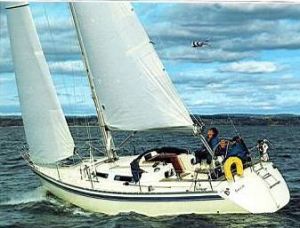 bild Cenit 33 