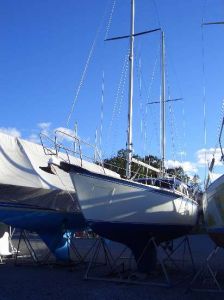 bild Colvic Victor 34  