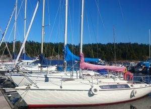 bild Comfort 26 