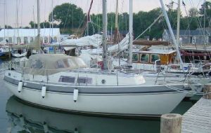 bild Compass 31  
