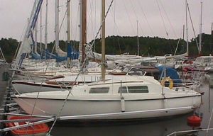 bild Daimio 23  
