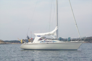 bild Dehler 343  