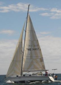 bild Dehler 43  
