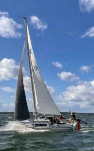 bild Dominant 78 