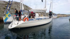bild Dynamic 43 