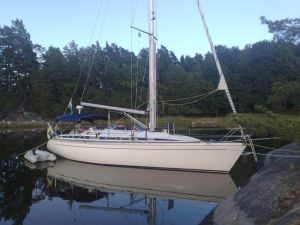 bild Elan 38  