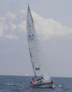 bild Excel 319 