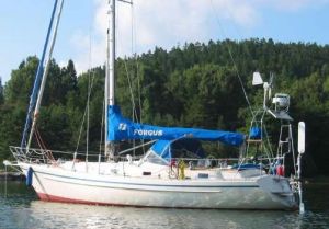 bild Forgus 361  