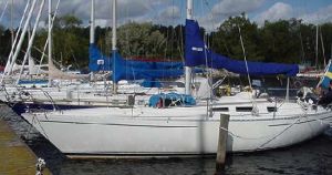 bild Gambler 35  