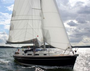 bild Hanse 311 