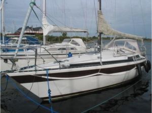 bild Helmsman 31  