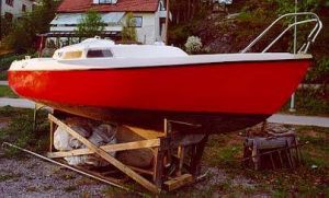 bild Hydra  