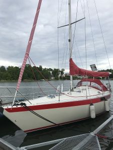 bild Jarrack 33 