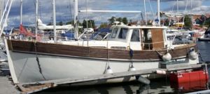 bild Johnson 900 MS  