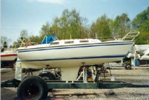 bild Johnson 26  