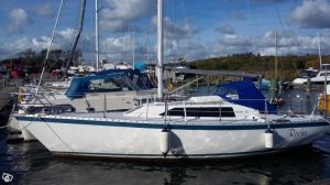 bild Joj 30  