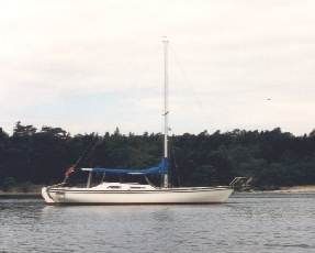 bild Koster 28  
