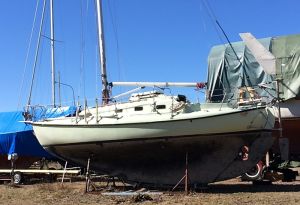 bild Laurin 28  