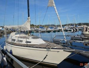 bild L-29 