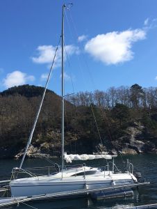 bild Majestic 24 racer 