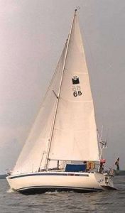 bild Mamba 33 