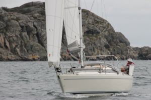 bild Maxi 909 