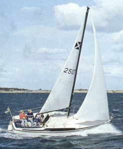 bild Maxi 77 