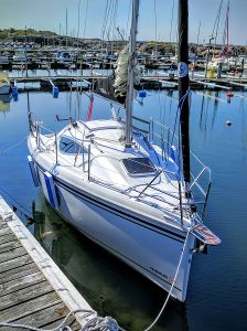 bild Maxus 24 