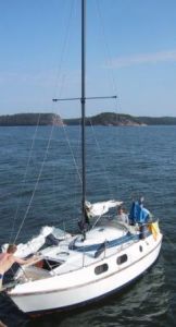 bild Medusa 