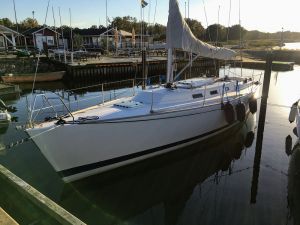 bild N-Yachts 41 