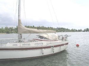 bild Najad 37 