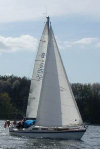 bild Ohlson 8:8 