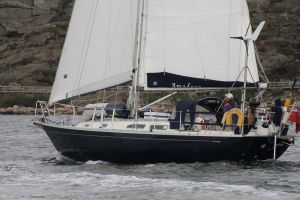 bild Rustler 36 