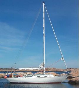 bild Rustler 31  