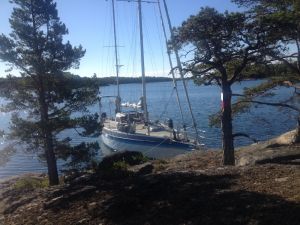 bild RW 41  