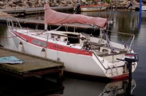 bild Skipjack  