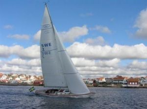 bild Swede 41  