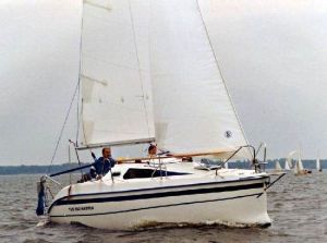 bild TES 550 Master  