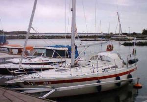 bild Trubadur 32  